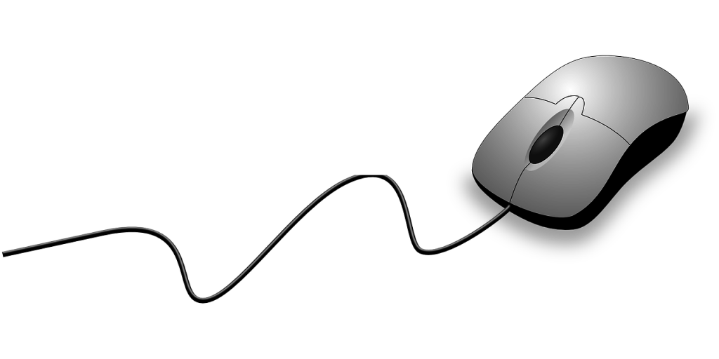 computer mouse