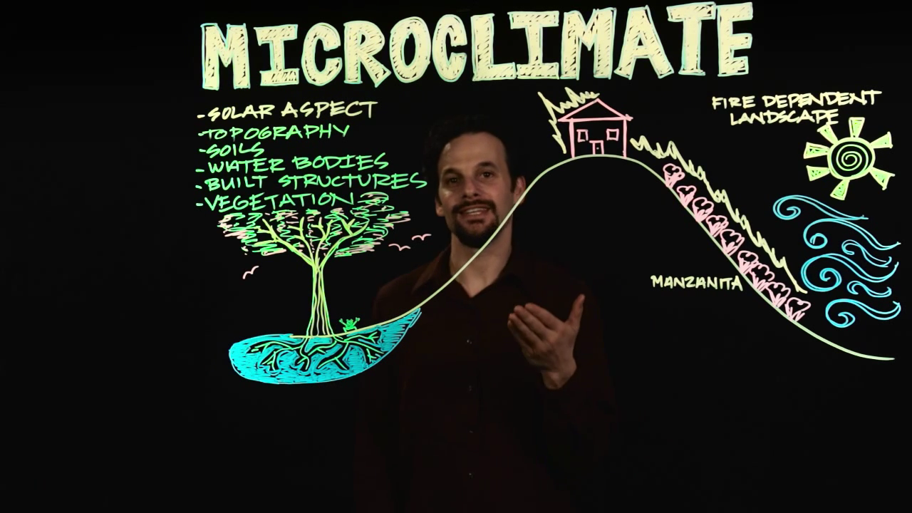 IntroPermaculture-IdentifyingMicroclimates_Screenshot.png