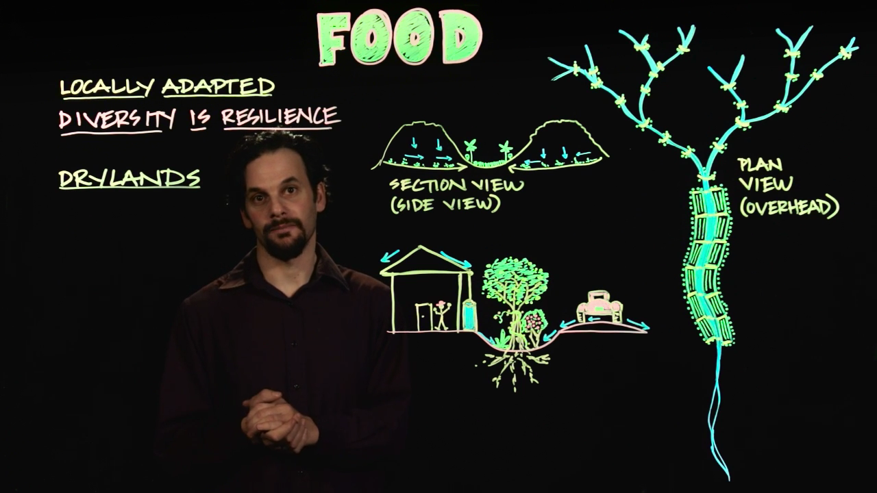 IntroPermaculture-PermacultureDesignFood_Screenshot.png