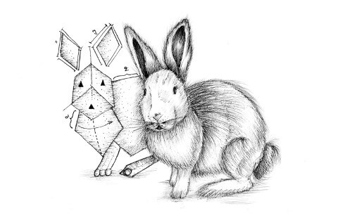 Picture of a rabbit with its proto-rabbit