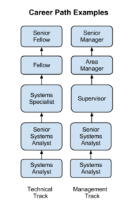 Comparing career paths in Information Systems