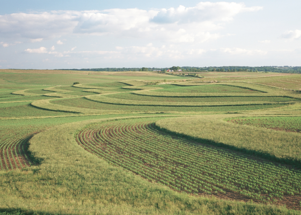 Contour buffer strips alternating between grass and row crops that are planted along the contours of hills.