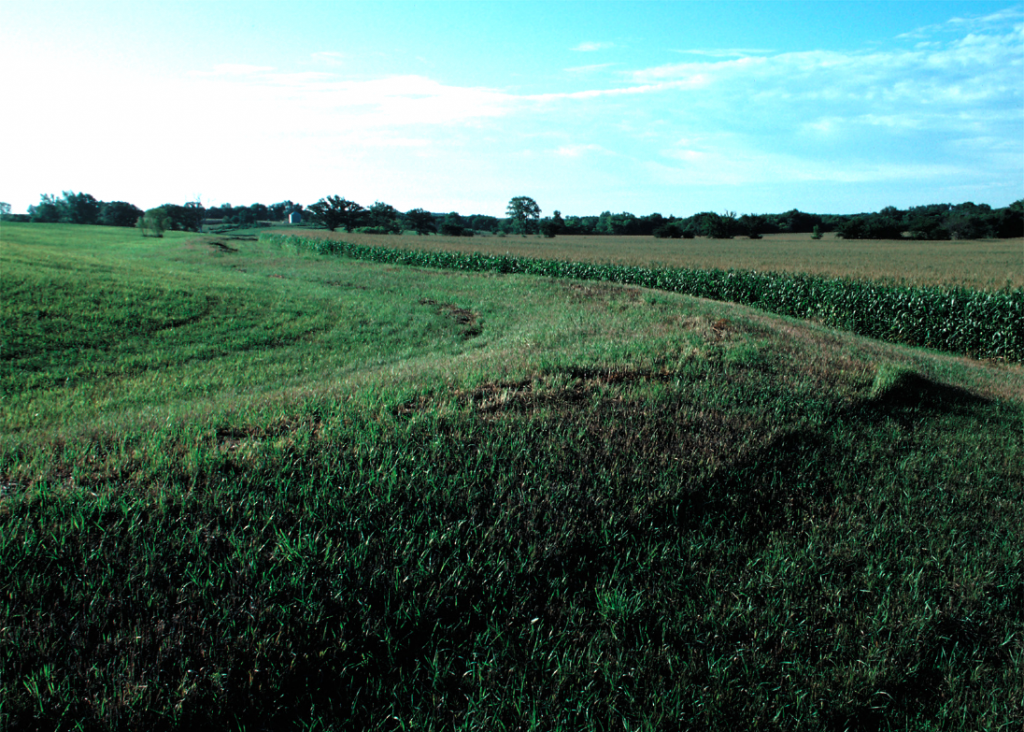 A broad-based terrace for diverting water away from a corn field downslope.