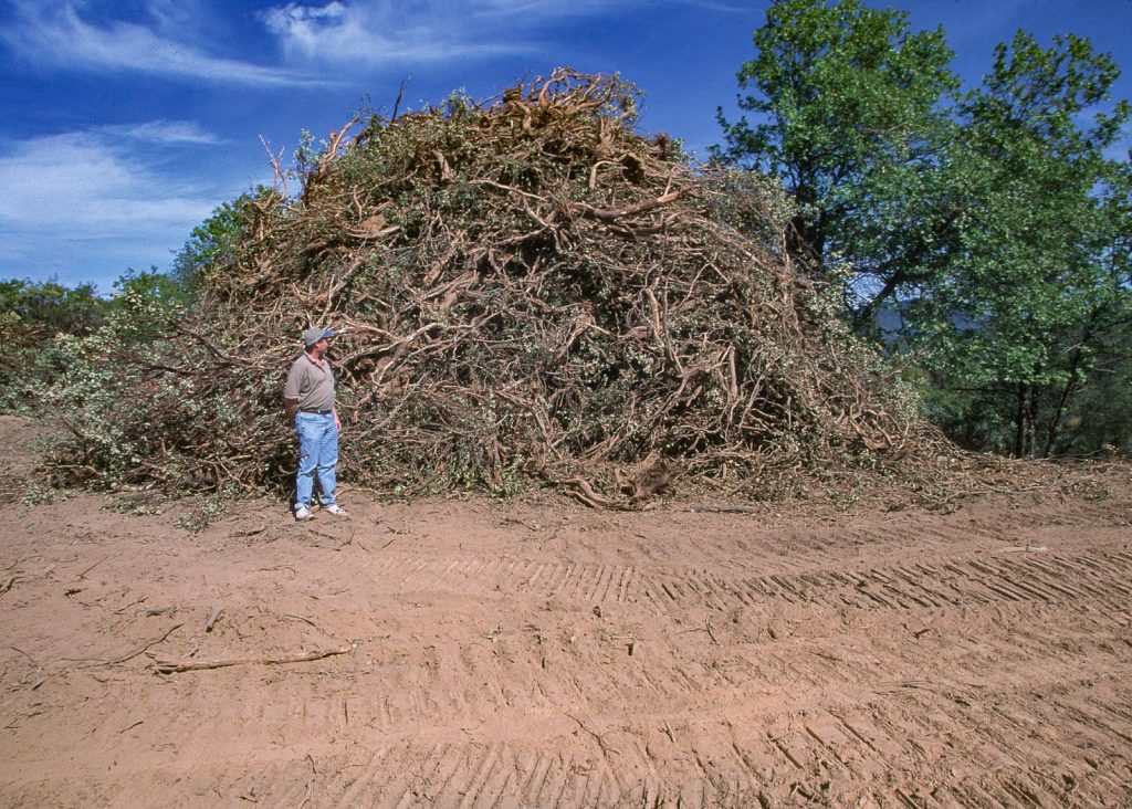 A man standing next to a pile twice his height of woody debris from a fire break and fuel reduction project