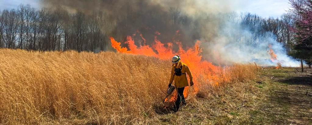 A firefighter setting a prescribed burn with a drip torch.
