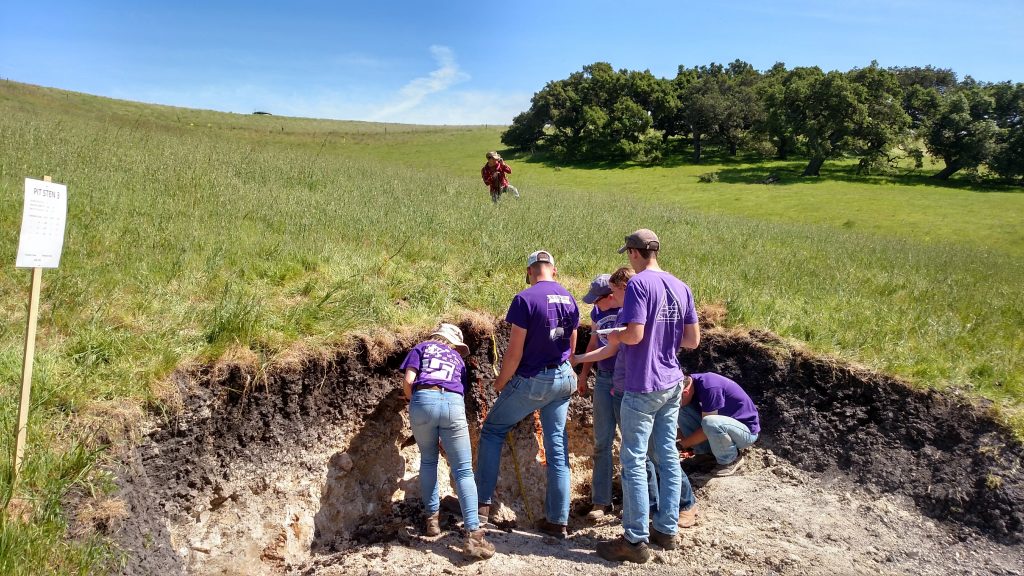 A team of soil judgers evaluates a soil profile on a grassed slope, while one soil judger measures slope in the background.