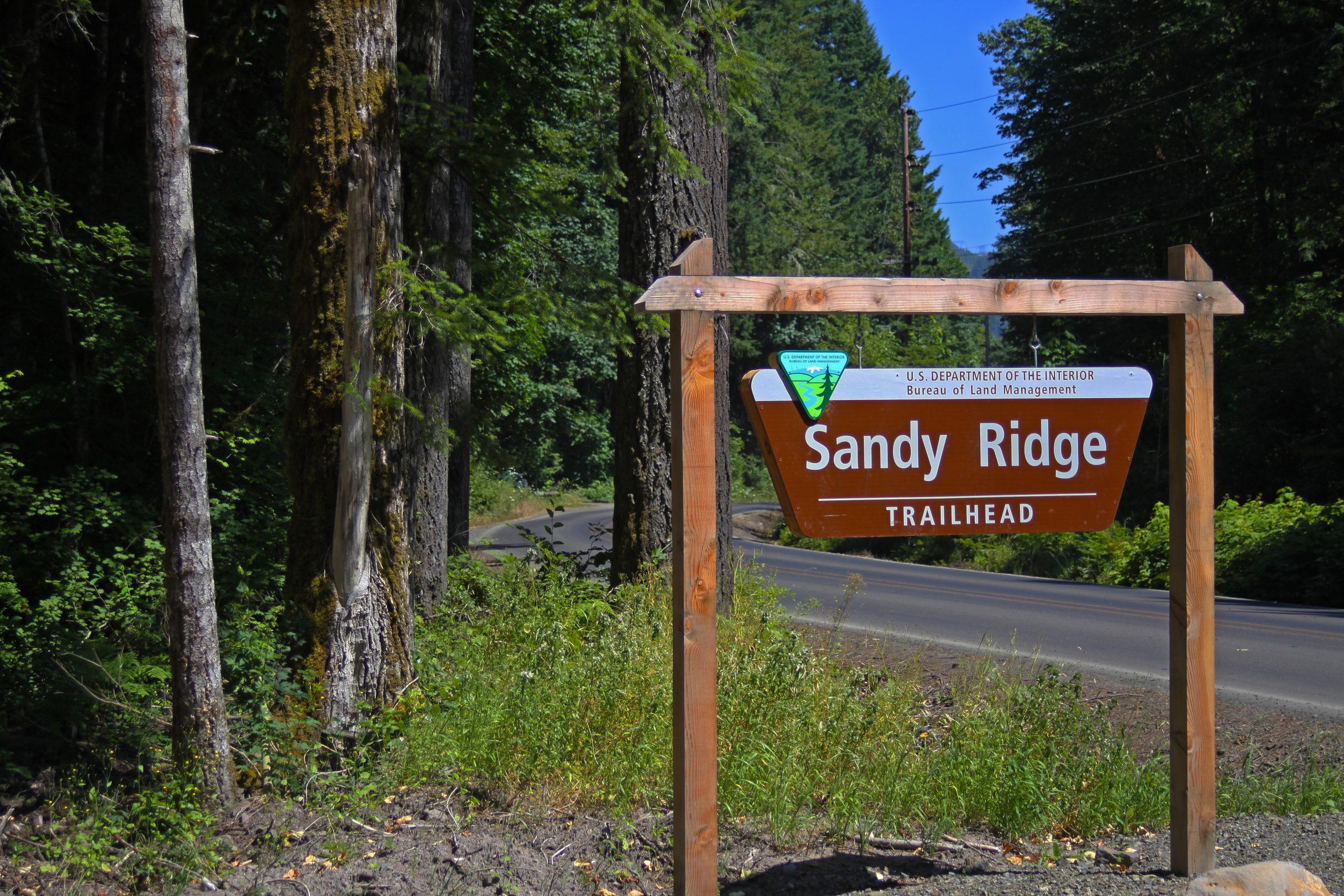 A road sign announcing the Sandy Ridge Trailhead