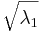sqrt{\lambda_1} 