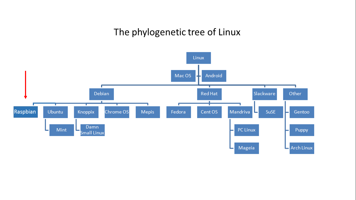 The phylogenetic tree of Linux.png