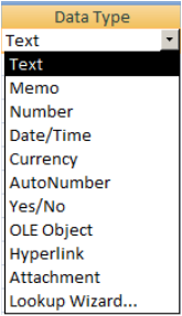 MS Access Data Types.