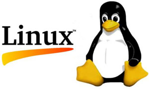 Linux - The Penguin Marches On (McClanahan)