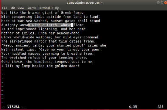 Image of a Linux terminal session with vim running in character visual mode