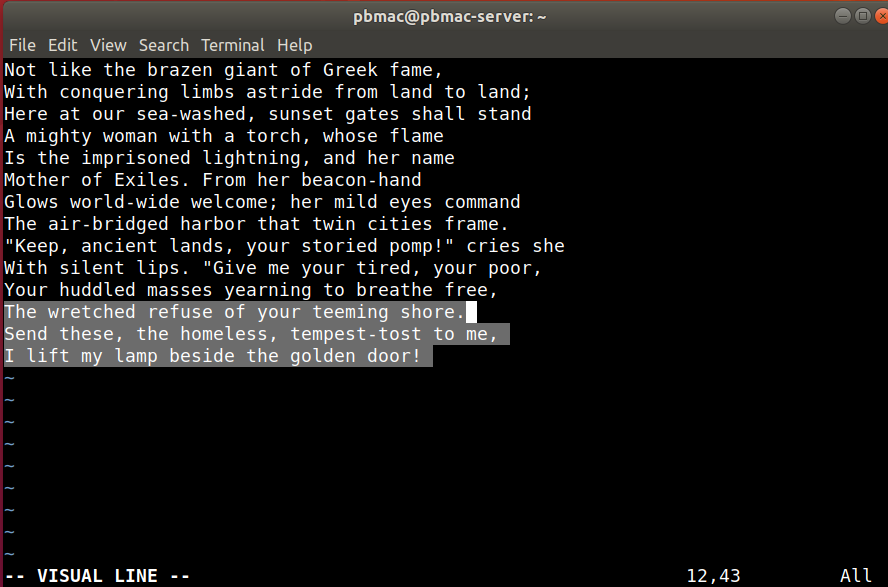 A Linux terminal session showing vim in line visual mode