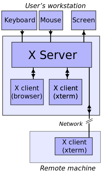 The keyboard, display monitor and mouse are connected to the X Server. All applications also need to communicate to the user's peripheral devices through the X Server. If a remote X-Window client needs to access a local system it must also communicate with the remote X Server