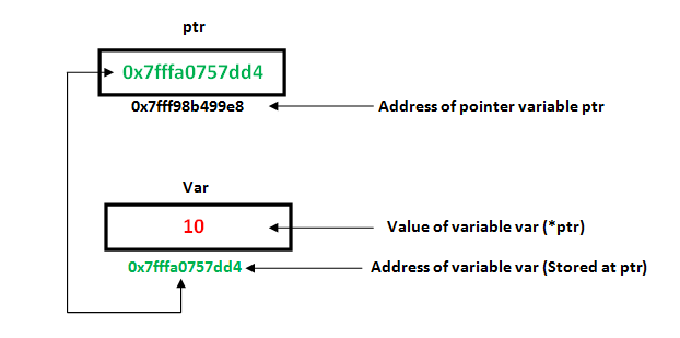 how a pointer contains the address of a variable