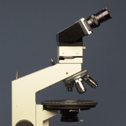10: Optical Micoscopy and Specimen Preparation