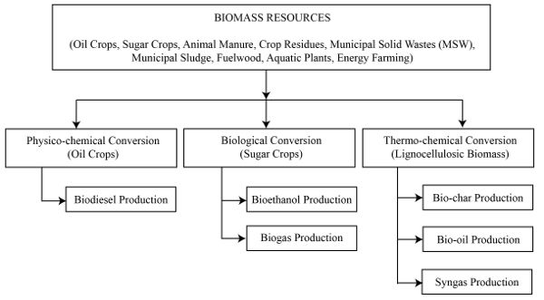 A flowchart showing the three pathways used to convert biomass resources, such as oil crops and fuelwood, into energy.