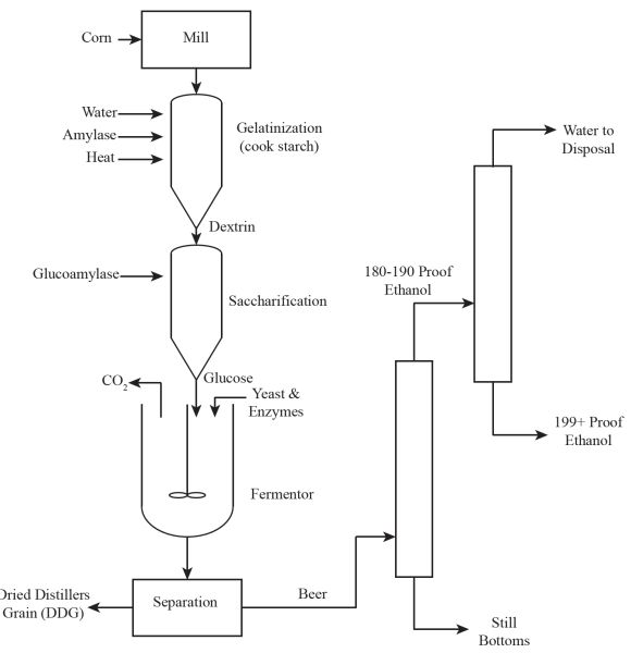 A flowchart showing the process of dry milling corn to make bioethanol.