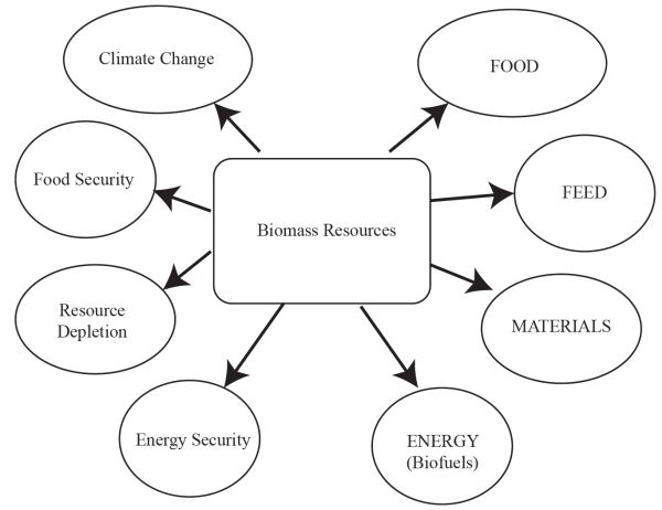 Un mapa mental que muestra los recursos de biomasa, como alimentos y materiales, y sus respectivas consecuencias, como el cambio climático y el agotamiento de los recursos.