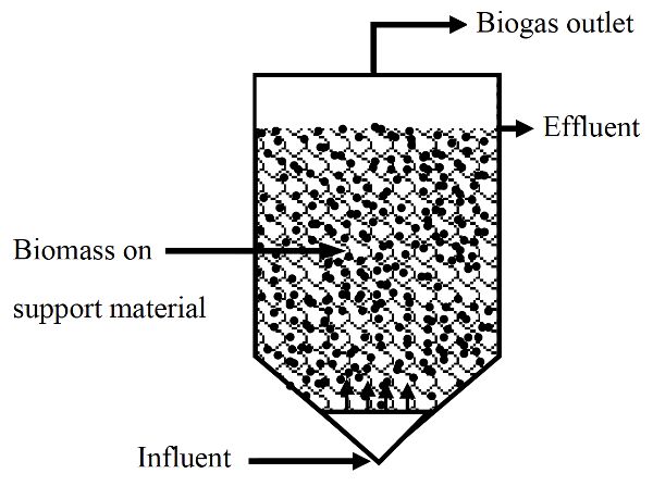 An anaerobic filter with biomass on support material on the inside, an influent port at the bottom, a biogas outlet at the top, and an effluent port at the upper right.