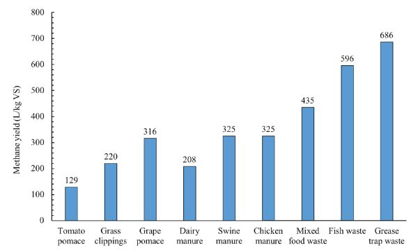 Un gráfico de barras que muestra el rendimiento de metano de diversos desechos orgánicos a lo largo de veinticinco días. El orujo de tomate tiene el menor rendimiento de 129 litros por kilogramo, y los desechos de trampa de grasa tienen los más altos con 686 litros por kilogramo.