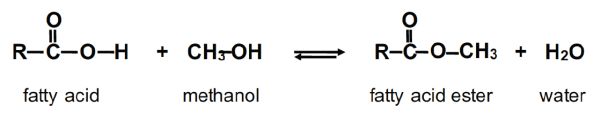 The change in the chemical structures of a fatty acid mixing with methanol and forming a fatty acid ester and water.