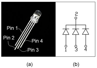 A diagram of the pin placement in a 5-millimeter common cathode.