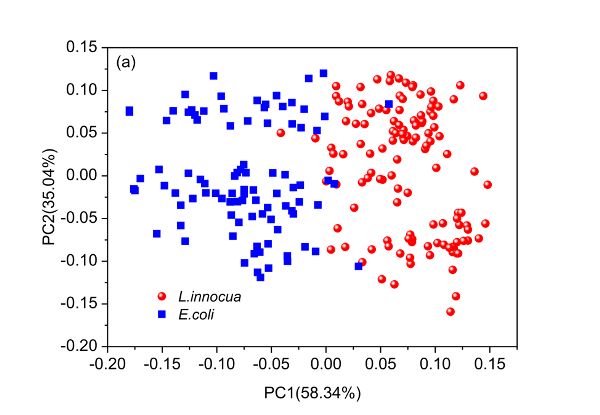 A score plot of the principal component analysis model for Escherichia coli and Listeria innocua bacterial suspensions.
