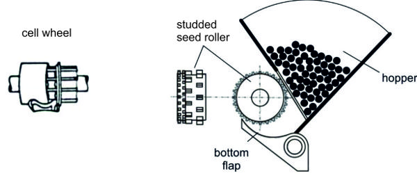 Una rueda de semillas tachonada que consiste en un rodillo de semillas tachonado junto a la tolva llena de semillas y una aleta inferior debajo tanto de la tolva como del rodillo de semillas tachonado.