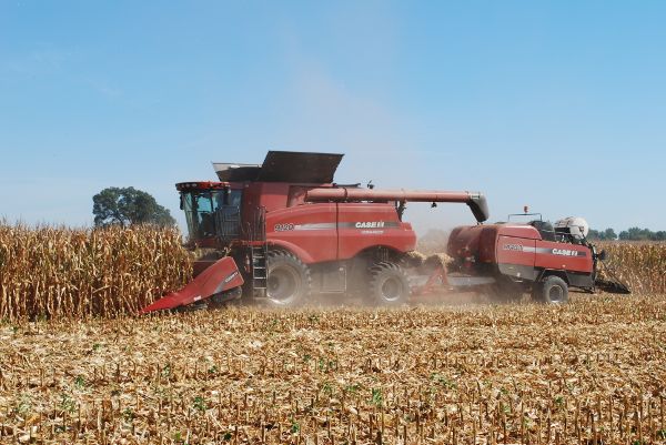 A combine with a header attachment on the front cutting dead cornstalks. A baler is attached to the back of the combine.
