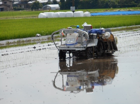 Un trasplantador de arroz autónomo de la Organización Nacional de Investigaciones Agrícolas y Alimentarias que utiliza el sistema de posicionamiento global.