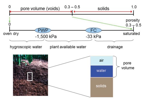 Un diagrama con una descripción gráfica del agua del suelo.