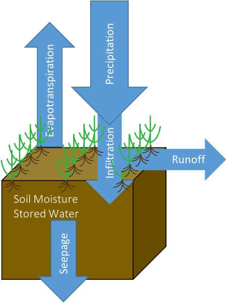 Diagrama que representa el balance hídrico en una sección de suelo.