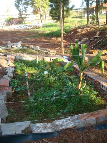 Célula de bioretención con plantas rodeadas de bloques de cemento y cercas de alambre de púas sostenidas por postes de madera.
