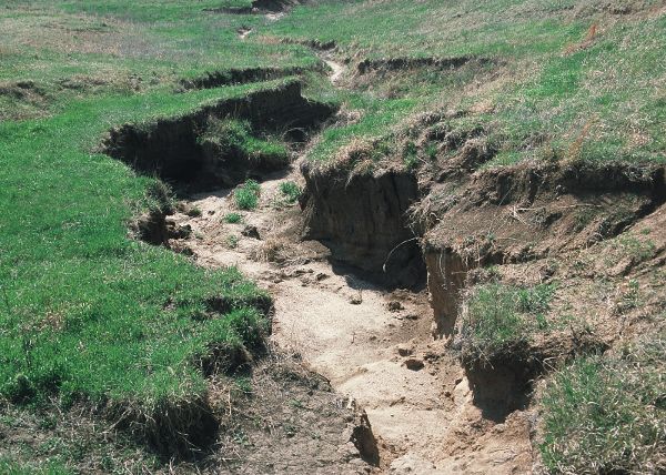 An illustration of gully erosion in a grassy field.