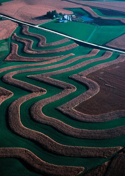Vista aérea de un campo con hileras contorneadas de alfalfa alternada con maíz y otro cultivo.