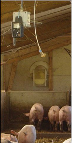 Sensors hanging from the ceiling above pig stalls.