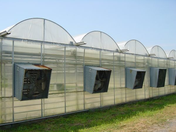 Invernaderos conectados por canaleta con varios ventiladores grandes.