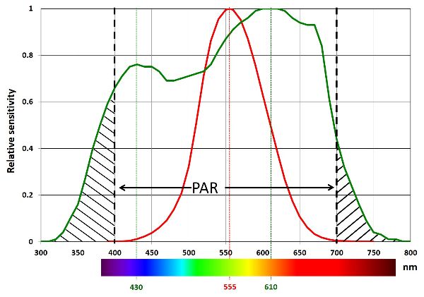 Un gráfico de líneas que compara la sensibilidad relativa del ojo humano y una planta promedio.