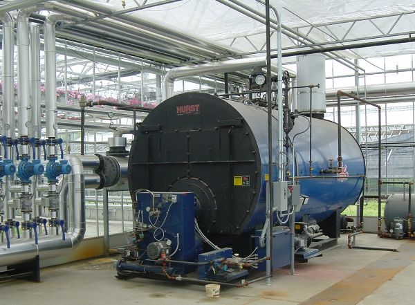 A hot water heating system in a greenhouse.