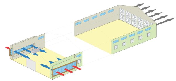 Diagrama de una casa de pollos de engorde con almohadillas evaporativas a lo largo de las paredes.