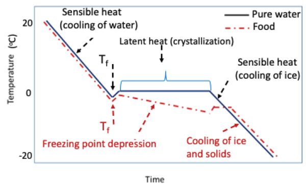 Un gráfico de líneas de las curvas de congelación para agua pura y un producto alimenticio a lo largo del tiempo.
