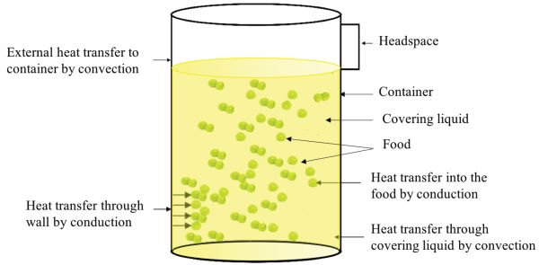 A diagram of the main heat transfer mechanisms in the thermal processing of packaged foods. External heat is transferred to the container and through the covering liquid by convection. Heat is transferred through the wall and into the food by conduction.