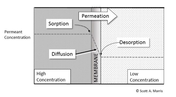 A diagram showing permeation through a packaging film membrane.