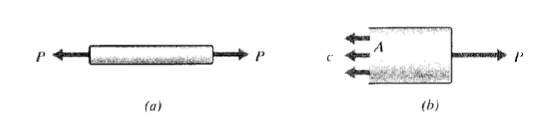 截屏2021-03-17 下午3.41.45.png