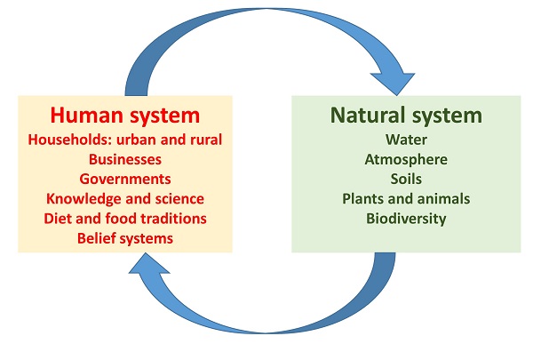 human-natural system.jpg
