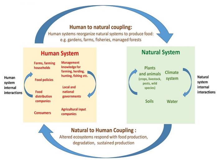 human-natural coupling diagram.jpeg
