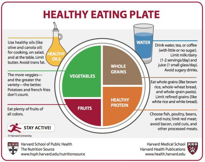 healthy eating plate.jpeg