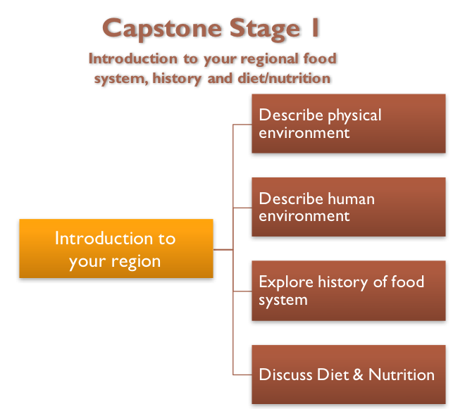 capstone stage 1.png