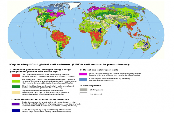 global soil map.png